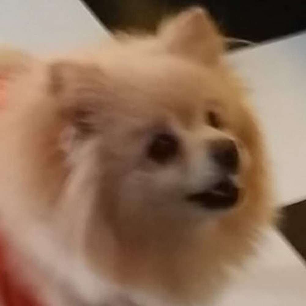 Meet your Posher, Geometry